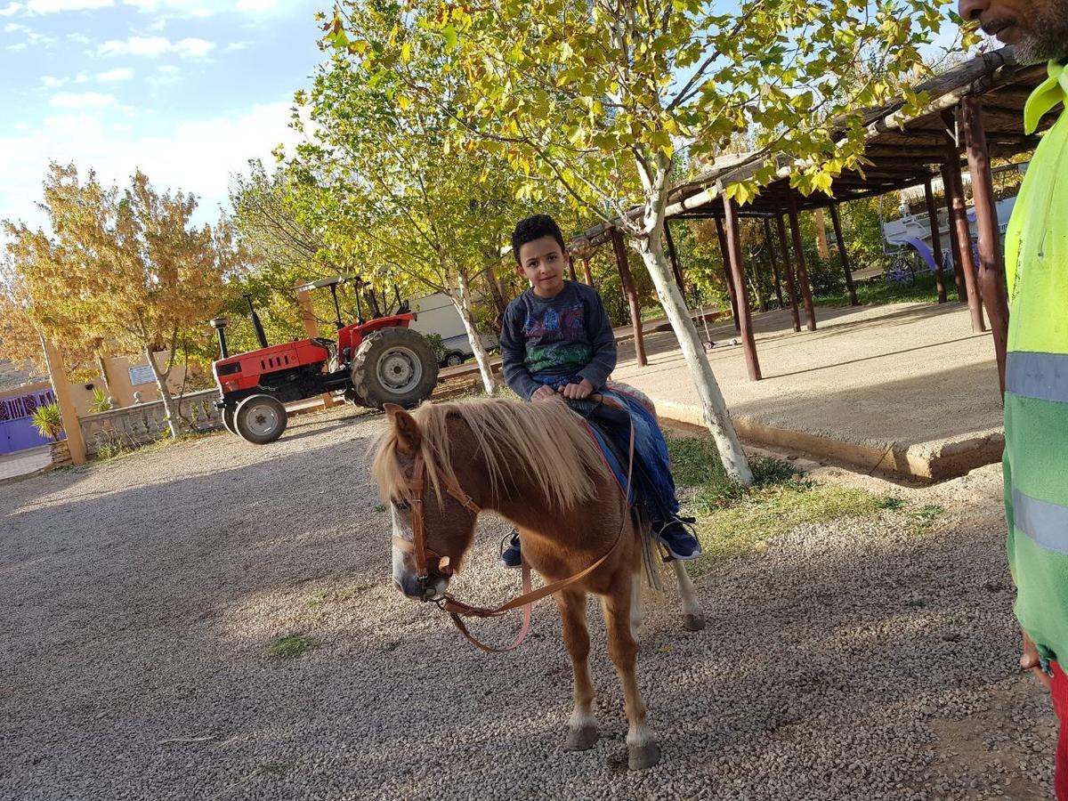 Le Vallon Vert - Club Equestre Azrou Eksteriør billede
